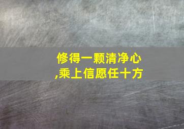 修得一颗清净心,乘上信愿任十方