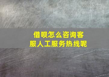 借呗怎么咨询客服人工服务热线呢