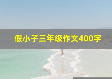 假小子三年级作文400字