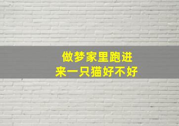 做梦家里跑进来一只猫好不好