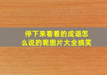 停下来看看的成语怎么说的呢图片大全搞笑