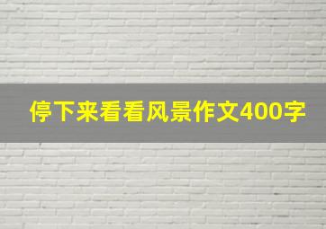 停下来看看风景作文400字