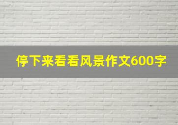 停下来看看风景作文600字