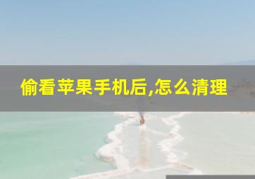 偷看苹果手机后,怎么清理