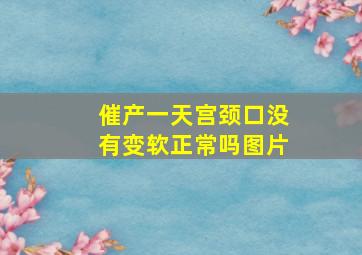 催产一天宫颈口没有变软正常吗图片