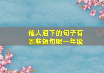 催人泪下的句子有哪些短句呢一年级