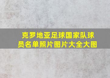 克罗地亚足球国家队球员名单照片图片大全大图