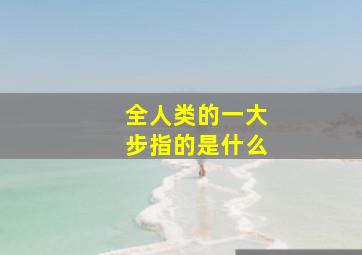 全人类的一大步指的是什么