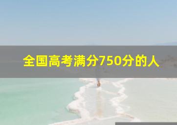 全国高考满分750分的人