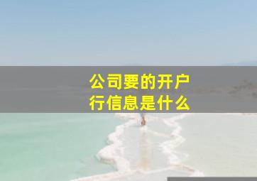 公司要的开户行信息是什么