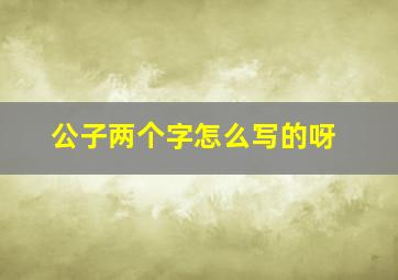 公子两个字怎么写的呀