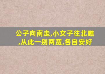 公子向南走,小女子往北瞧,从此一别两宽,各自安好