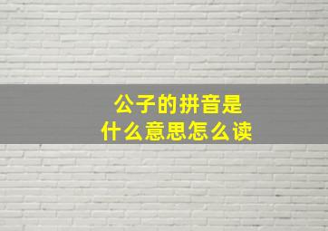 公子的拼音是什么意思怎么读