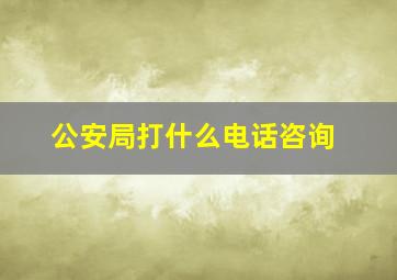 公安局打什么电话咨询