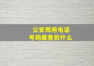 公安局用电话号码能查到什么