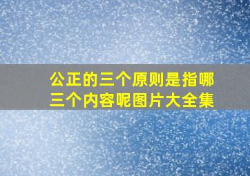 公正的三个原则是指哪三个内容呢图片大全集