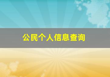 公民个人信息查询