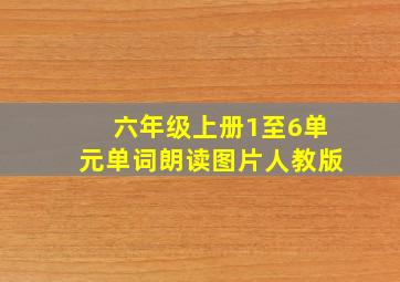 六年级上册1至6单元单词朗读图片人教版