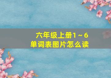 六年级上册1～6单词表图片怎么读