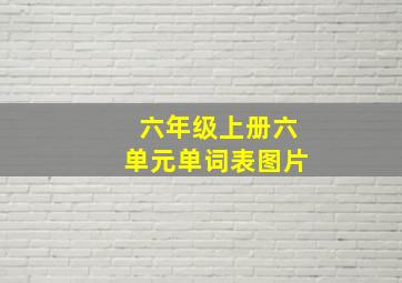 六年级上册六单元单词表图片