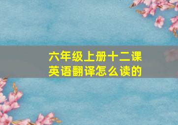 六年级上册十二课英语翻译怎么读的