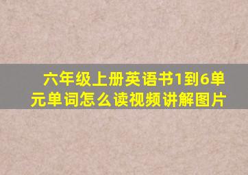 六年级上册英语书1到6单元单词怎么读视频讲解图片