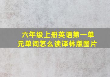 六年级上册英语第一单元单词怎么读译林版图片