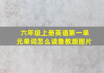 六年级上册英语第一单元单词怎么读鲁教版图片