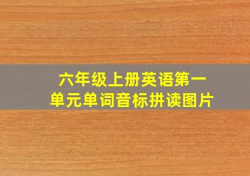 六年级上册英语第一单元单词音标拼读图片