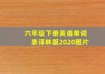 六年级下册英语单词表译林版2020图片