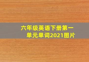 六年级英语下册第一单元单词2021图片