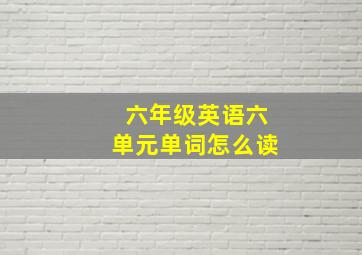 六年级英语六单元单词怎么读