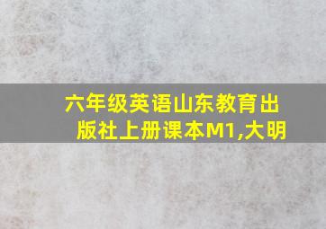 六年级英语山东教育出版社上册课本M1,大明