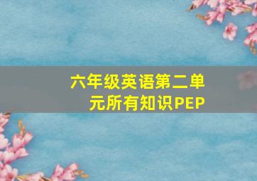 六年级英语第二单元所有知识PEP