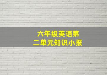 六年级英语第二单元知识小报