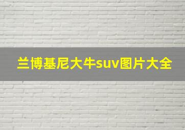 兰博基尼大牛suv图片大全