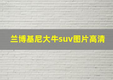 兰博基尼大牛suv图片高清