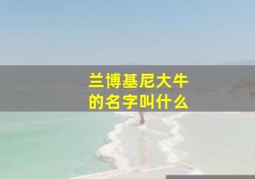 兰博基尼大牛的名字叫什么