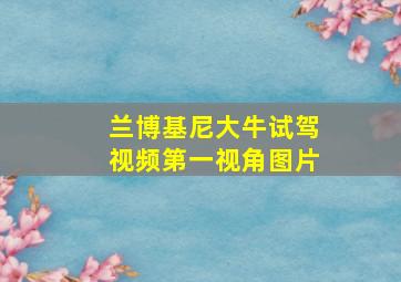 兰博基尼大牛试驾视频第一视角图片