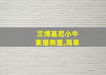 兰博基尼小牛素描侧面,简单