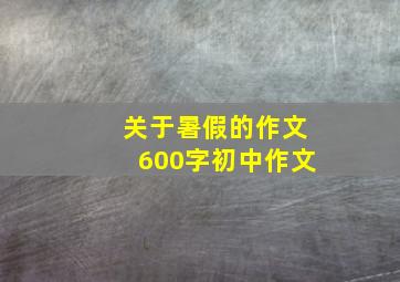 关于暑假的作文600字初中作文