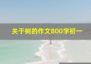 关于树的作文800字初一