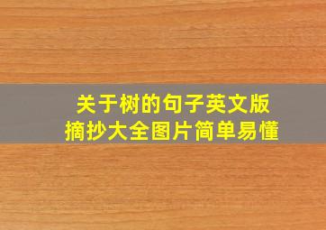 关于树的句子英文版摘抄大全图片简单易懂