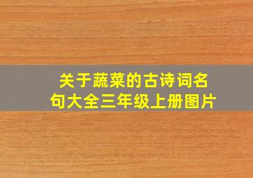 关于蔬菜的古诗词名句大全三年级上册图片