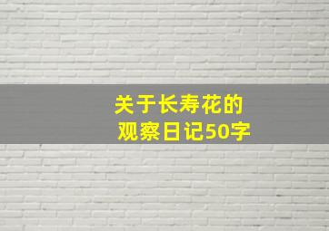 关于长寿花的观察日记50字