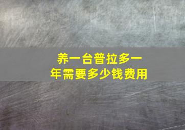 养一台普拉多一年需要多少钱费用