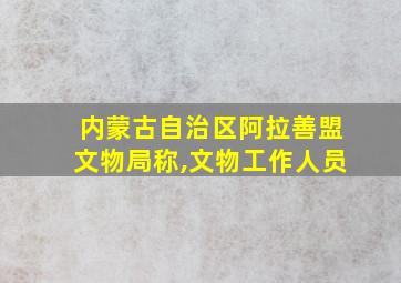 内蒙古自治区阿拉善盟文物局称,文物工作人员