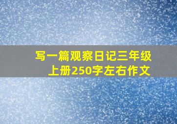 写一篇观察日记三年级上册250字左右作文