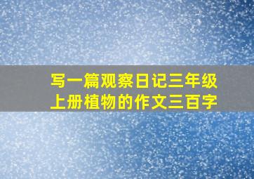 写一篇观察日记三年级上册植物的作文三百字