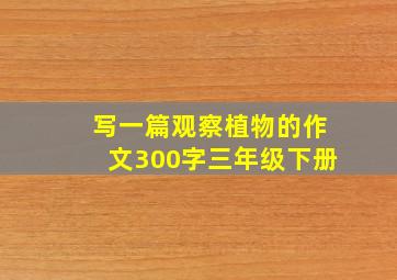 写一篇观察植物的作文300字三年级下册